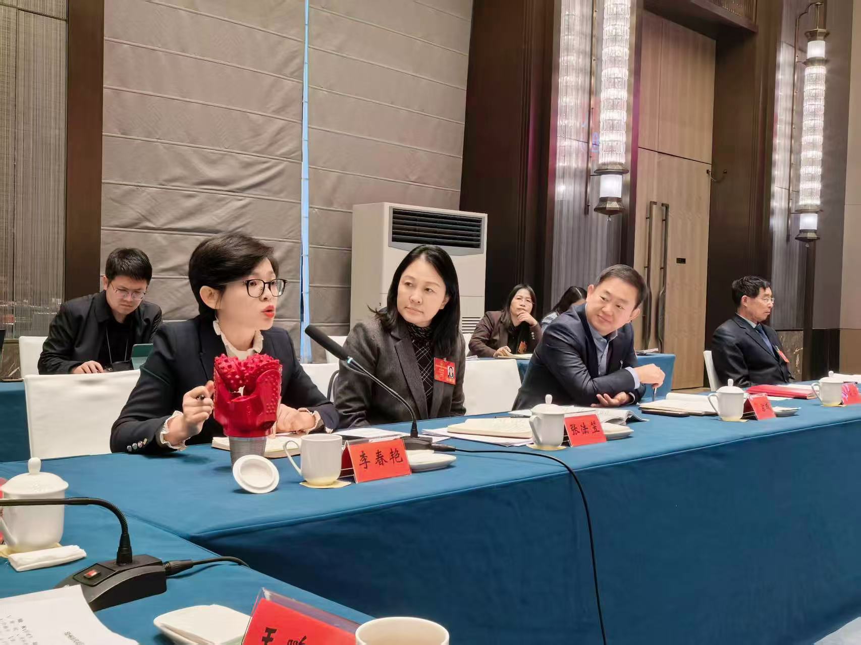 Li Chunyan, Provincial People's Congress Representative, Fulfills Her Duties and Speaks Out